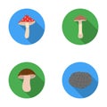 Amanita, porcini, black truffle,toadstool. set collection icons in flat style vector symbol stock illustration web.