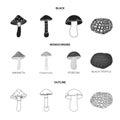 Amanita, porcini, black truffle,toadstool. set collection icons in black,monochrome,outline style vector symbol stock