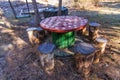 Amanita table on the site for recreation