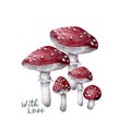 Amanitas and pines. Watercolor mushrooms in the forest illustration. Fly agaric. Forest, clearing, mycelium. Autumn