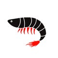 Amano Shrimp prawn black icon vector illustration