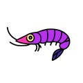 Amano Shrimp prawn purple icon vector illustration