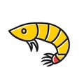 Amano Shrimp prawn yellow icon vector illustration