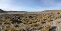 Amara ruins in the high Andean plateau, Bolivia Royalty Free Stock Photo