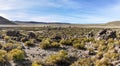 Amara ruins in the high Andean plateau, Bolivia Royalty Free Stock Photo