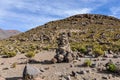 Amara ruins in the high Andean plateau, Bolivia