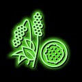 amaranth groat neon glow icon illustration
