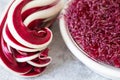 Amaranth micro herbs and Radicchio Rosso di Treviso. Organic food. Red vegetable Royalty Free Stock Photo