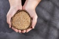 Amaranthus - Female hands holding bowl with popped amaranth grains