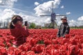 Asian family visiting Dutch tulip farm Royalty Free Stock Photo