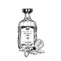 Amaretto bottle, retro hand drawn vector illustration. Royalty Free Stock Photo