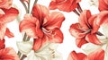 Amaryllis Flower, pattern