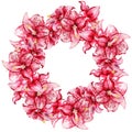 Amaryllis flowers wreath