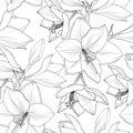 Amaryllis hippeastrum lily floral seamless pattern