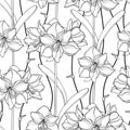 Vector seamless pattern with outline Amaryllis or belladonna Lily flower and leaf in black on the white background.