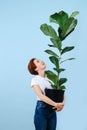 Amased woman holding giant ficus and looking up at it