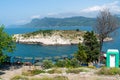 Amasra, Turkey- June 26 2021: The weeping tree and the park around it