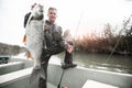 Fisherman holds the Asp fish Royalty Free Stock Photo