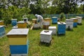 Amateur apiary near apartment building_7