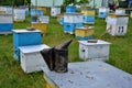 Amateur apiary near apartment building_2