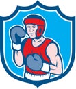Amateur Boxer Stance Shield Cartoon