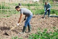 Amateur gardener hoeing soil before seedlings planting Royalty Free Stock Photo