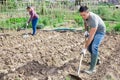 Amateur gardener hoeing soil before seedlings planting Royalty Free Stock Photo