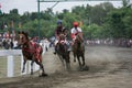 Amateur Horse Race