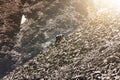 Amateur mountaineering. Man climbing up hill to reach the peak of the mountain. Persistence, determination, strength, reaching the Royalty Free Stock Photo