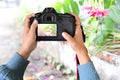 Amateur photographers use the camera to look at street flowers. Royalty Free Stock Photo