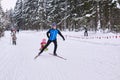 Amateur skiers in the winter forest