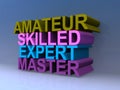 Amateur skilled expert master