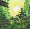 Amateur watercolor drawing of sunrise in a green summer forest