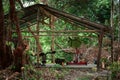 Amateur wooden gym in the middle of the jungle