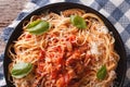 Amatriciana Spaghetti with basil close-up. horizontal top view Royalty Free Stock Photo