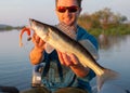 Amatuer angler holds fish Royalty Free Stock Photo