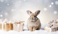 An amazed little rabbit looks at the Christmas presents he found in a pile of snow.