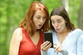 Amazed women checking surprising phone content in a park Royalty Free Stock Photo