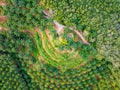 Amazing abundant forest trees,Aerial view of forest trees Rainforest ecosystem and healthy environment background,Texture of green