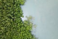 Amazing abundant mangrove forest Aerial view of forest trees Rainforest ecosystem and healthy environment background Texture of