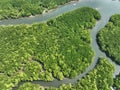 Amazing abundant mangrove forest, Aerial view of forest trees Rainforest ecosystem and healthy environment background, Texture of