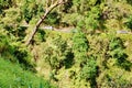 Amazing adventure road to hana in maui Royalty Free Stock Photo