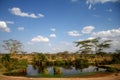 Amazing Africa savanna view Royalty Free Stock Photo