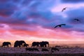 Amazing african dramatic sunset with walking elephants in savannah. Artistic fantastic safari landscape in Masai Mara National Royalty Free Stock Photo