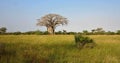 Amazing african nature and landscape