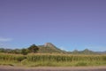Amazing african scenery with mountains of different shapes, corn field, lush grass, exotic trees on the road to Dedza in Malawi,