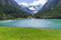 Amazing alpine landscape with green meadows flowers and snowy mountains in the background. Austria Royalty Free Stock Photo