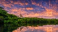 amazing amazon river with a beautiful sunset in the background in high resolution Royalty Free Stock Photo