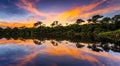 Amazing Amazon River with a beautiful sunset in the background in high resolution and sharpness. amazon river concept Royalty Free Stock Photo