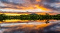 Amazing Amazon River with a beautiful sunset in the background in high resolution and sharpness. concept amazon river of colombia Royalty Free Stock Photo